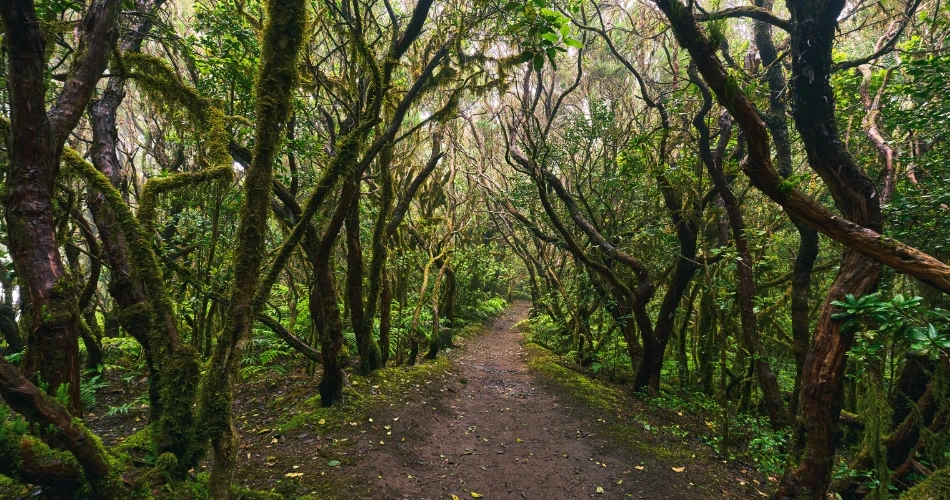 Top Outdoor Things to Do in Los Angeles for Adventure Lovers